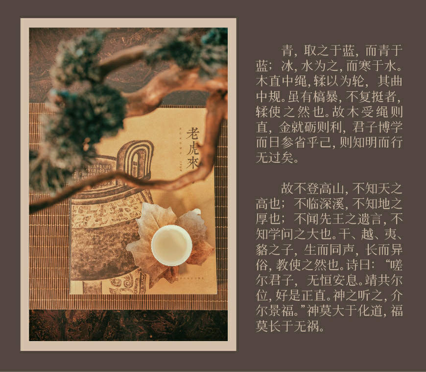 zz-1117-feihua-10.jpg