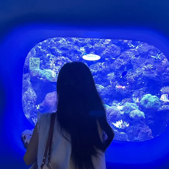 设计师YoYo