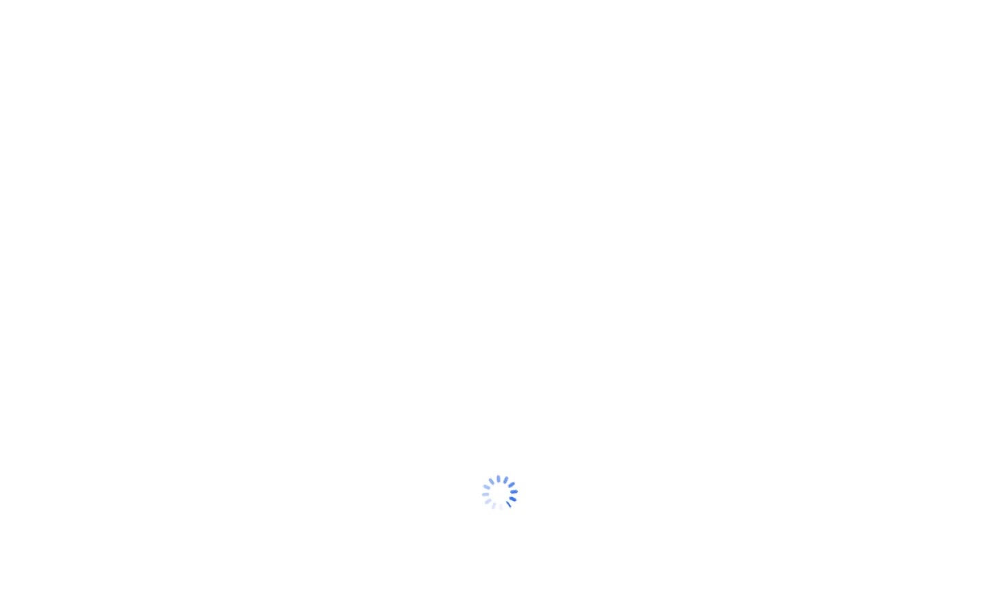 Bisheng 灵思官网截图