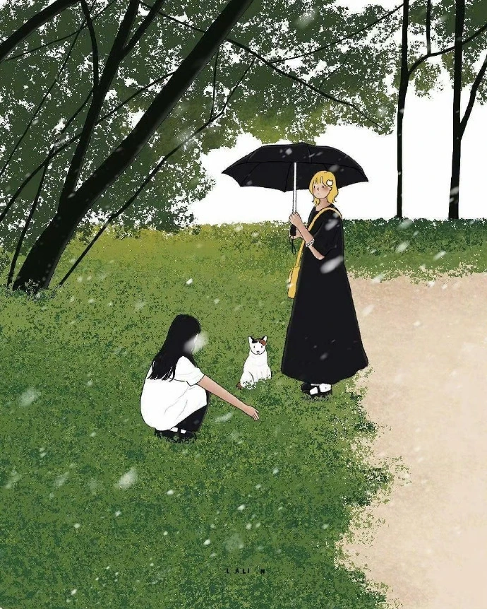 关于夏绿小姐的普通朋友 配图 4