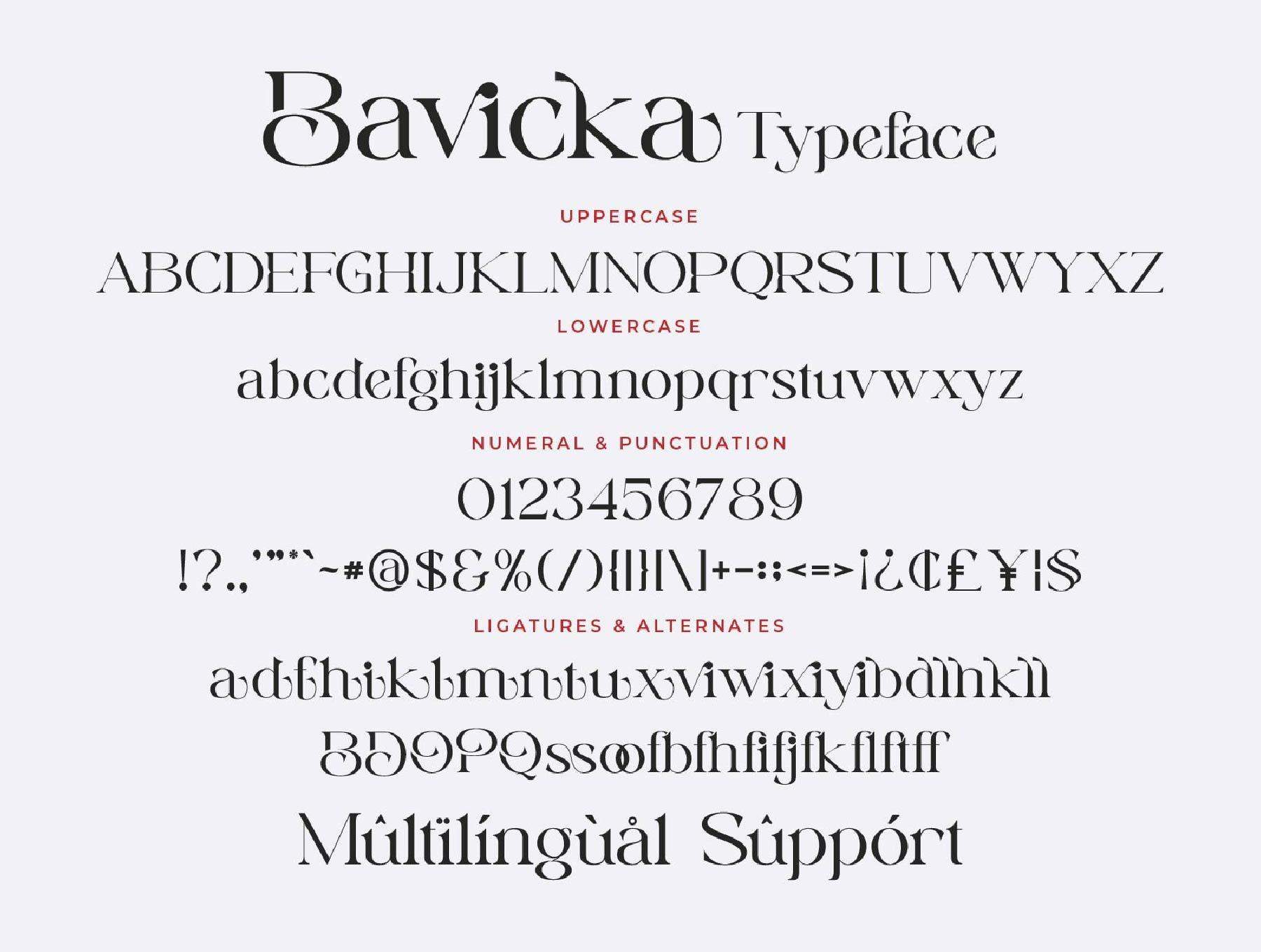 时尚的 Ligature Serif 字体
