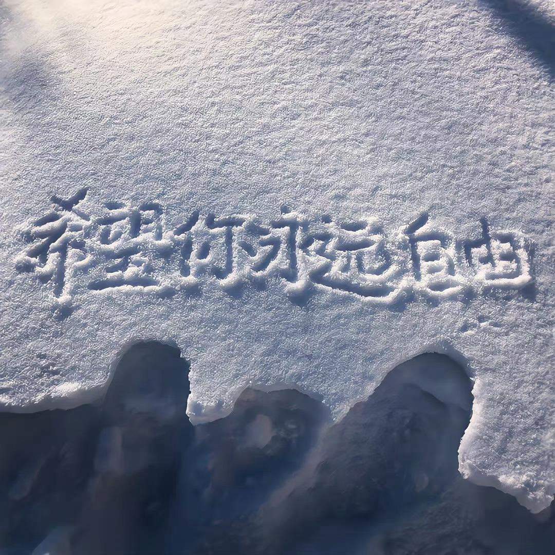UIED-梨花诗 封面