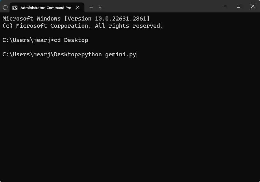 使用 Python 执行 gemini.py 文件 使用 Python 执行 gemini.py 文件