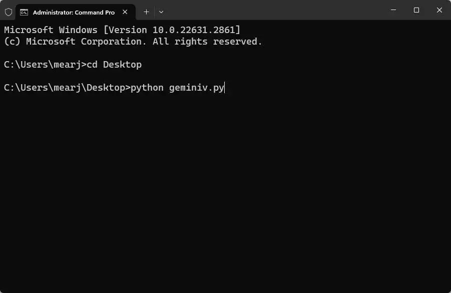 geminiv.py geminiv.py