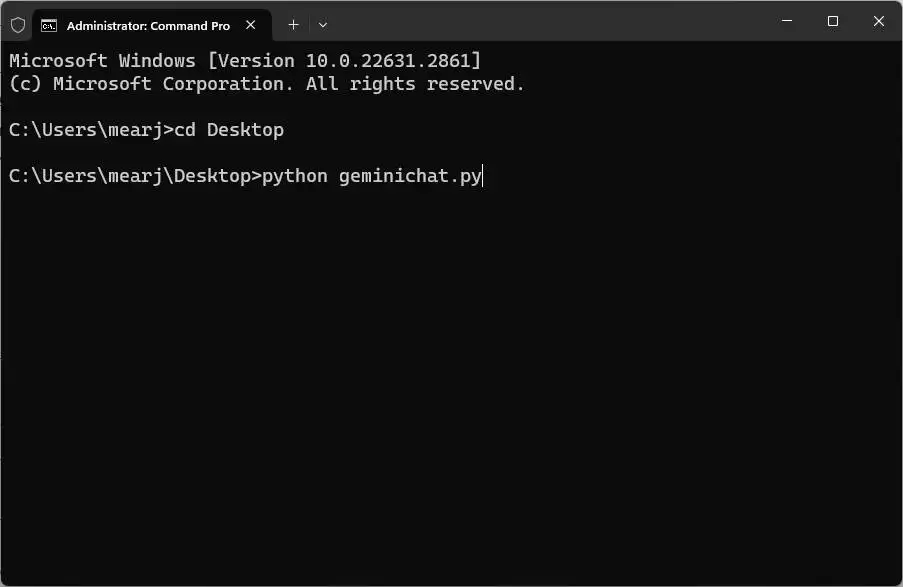运行 geminichat.py 文件 运行 geminichat.py 文件