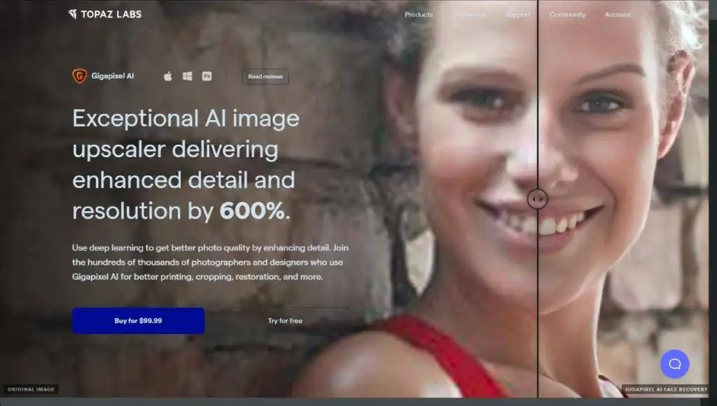 Gigapixel AI Gigapixel AI