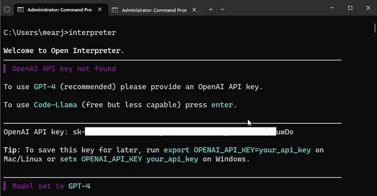 在终端中粘贴 API 密钥