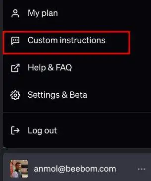 点击 "Custom instructions"