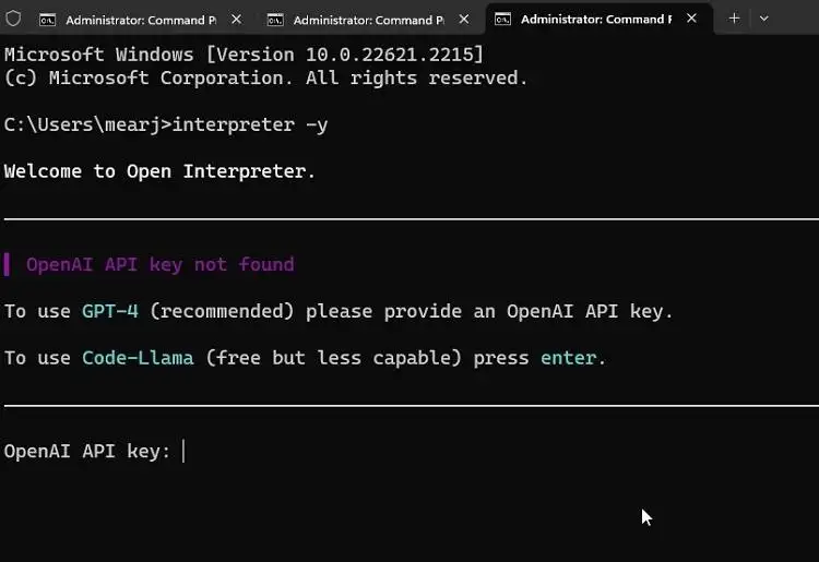 启动 Open Interpreter