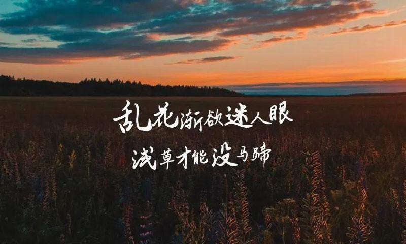 云峰字库3款免商书法字体 设计素材 第4张-素材湾 云峰字库3款免商书法字体 设计素材 第4张