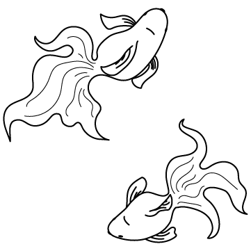 MSkLW5-20240619