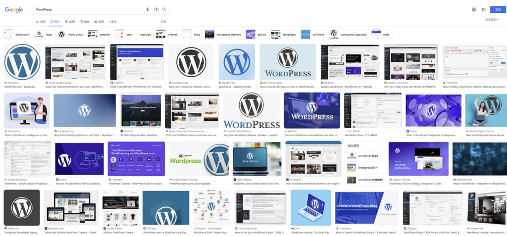 谷歌搜索WordPress结果截图 谷歌搜索WordPress结果截图