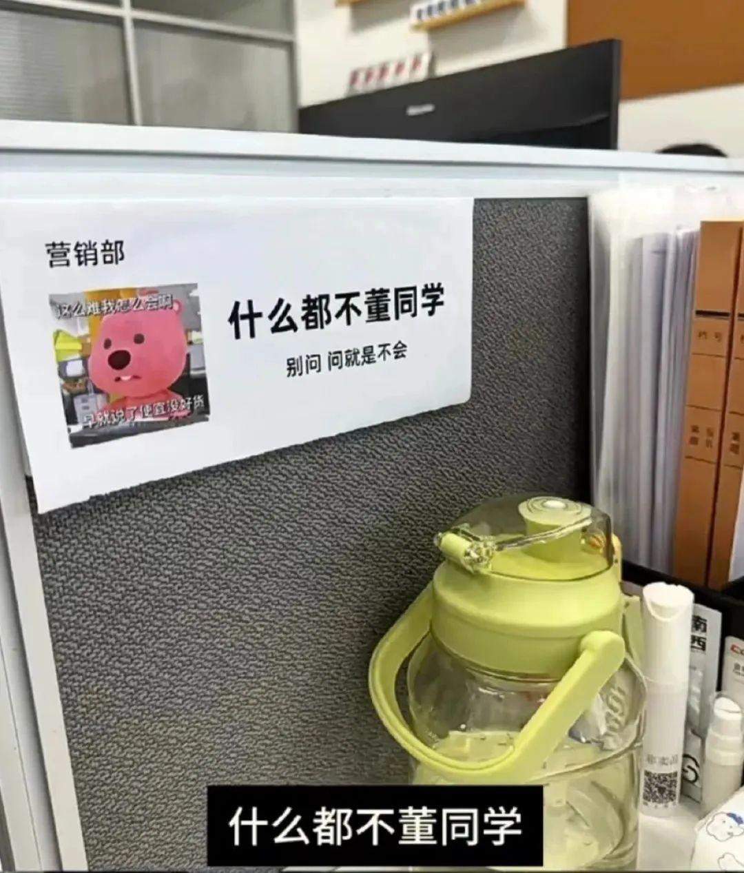 5jP9Wi-20240713