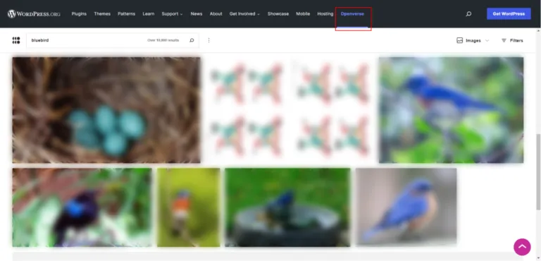Openverse搜索[bluebird]的截图