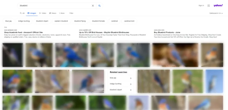 雅虎图片搜索[bluebird]的屏幕截图