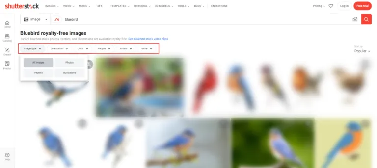 Shutterstock搜索[bluebird]的截图