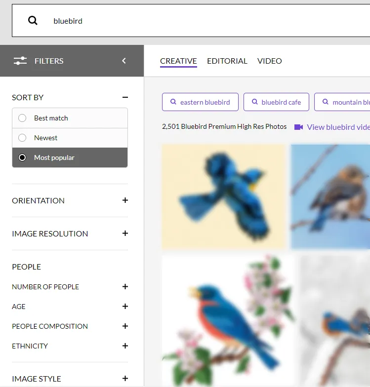 搜索[bluebird]的屏幕截图