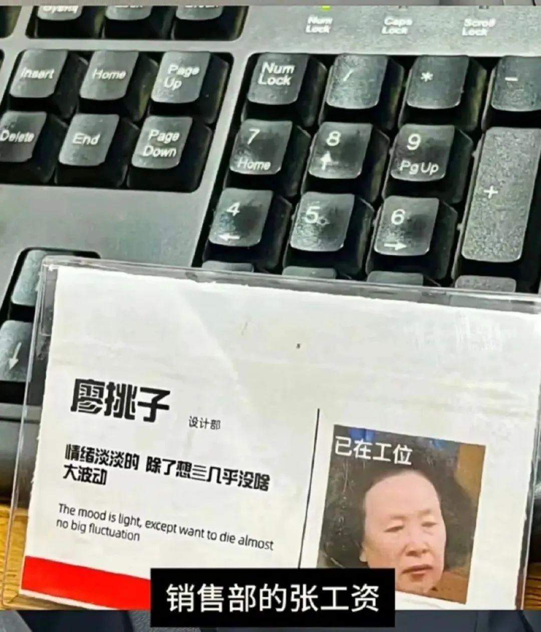 sDy3BX-20240713