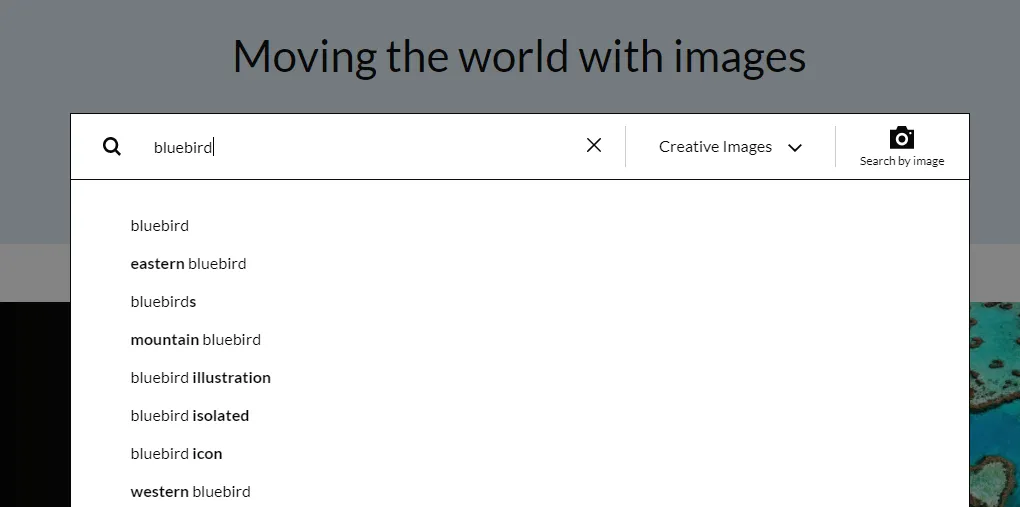 Getty Images搜索[bluebird]的截图