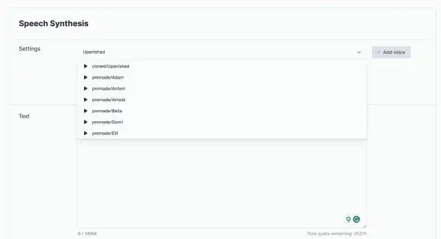 Prime Voice AI