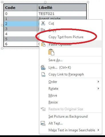 OneNote