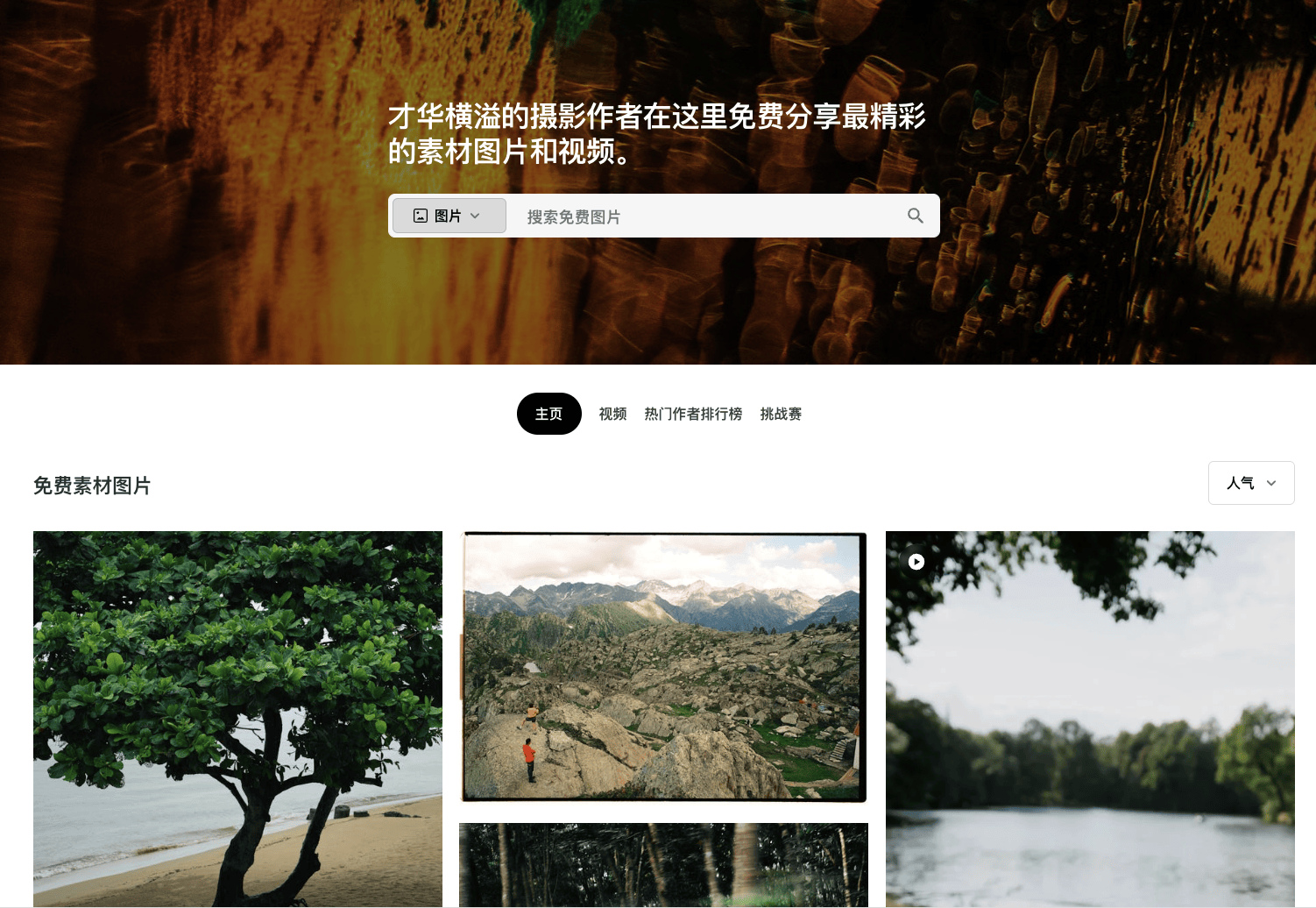 Pexels - 高清创意图片与视频素材的免费商用平台