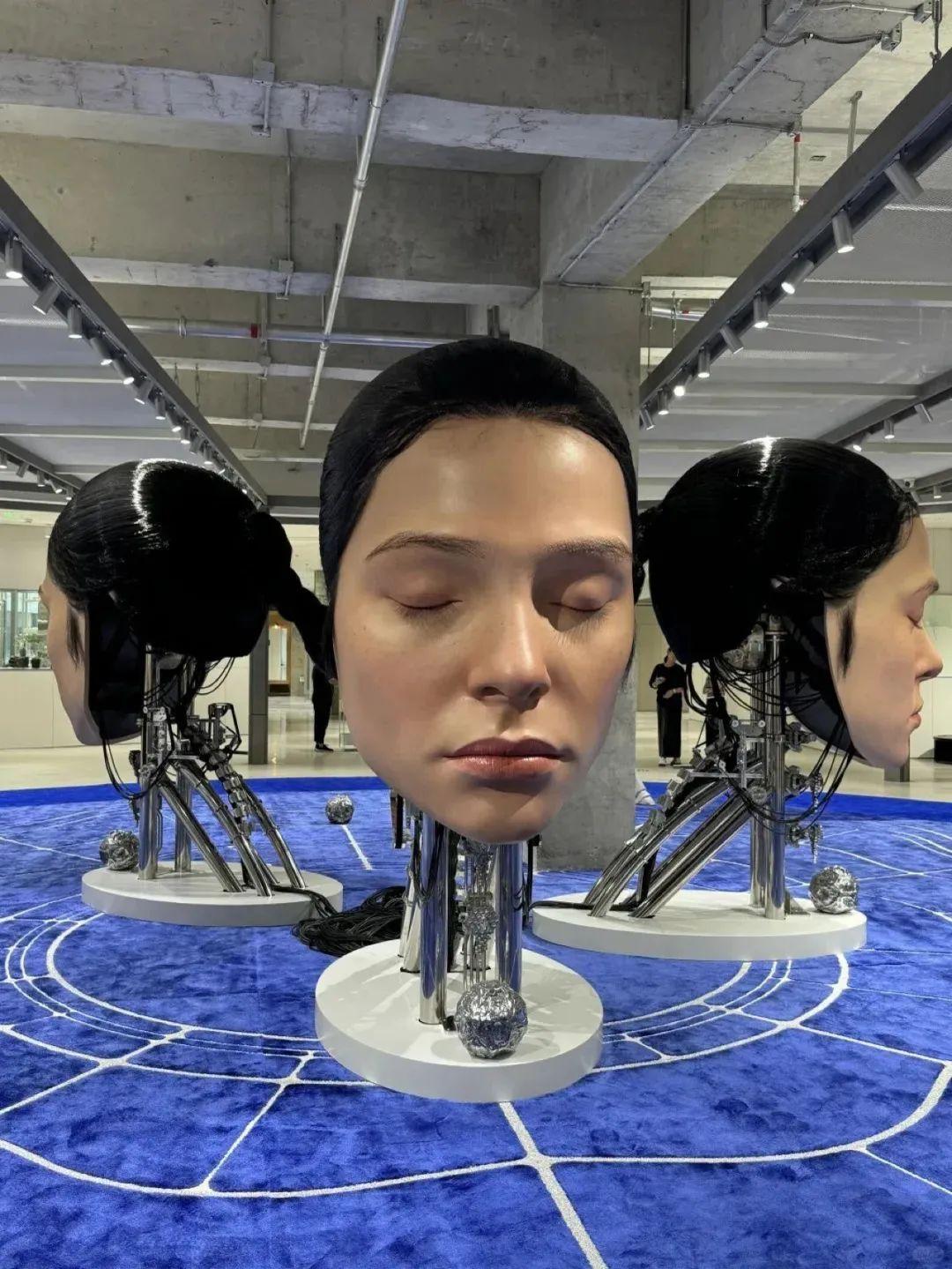 oJs3ku-20240911