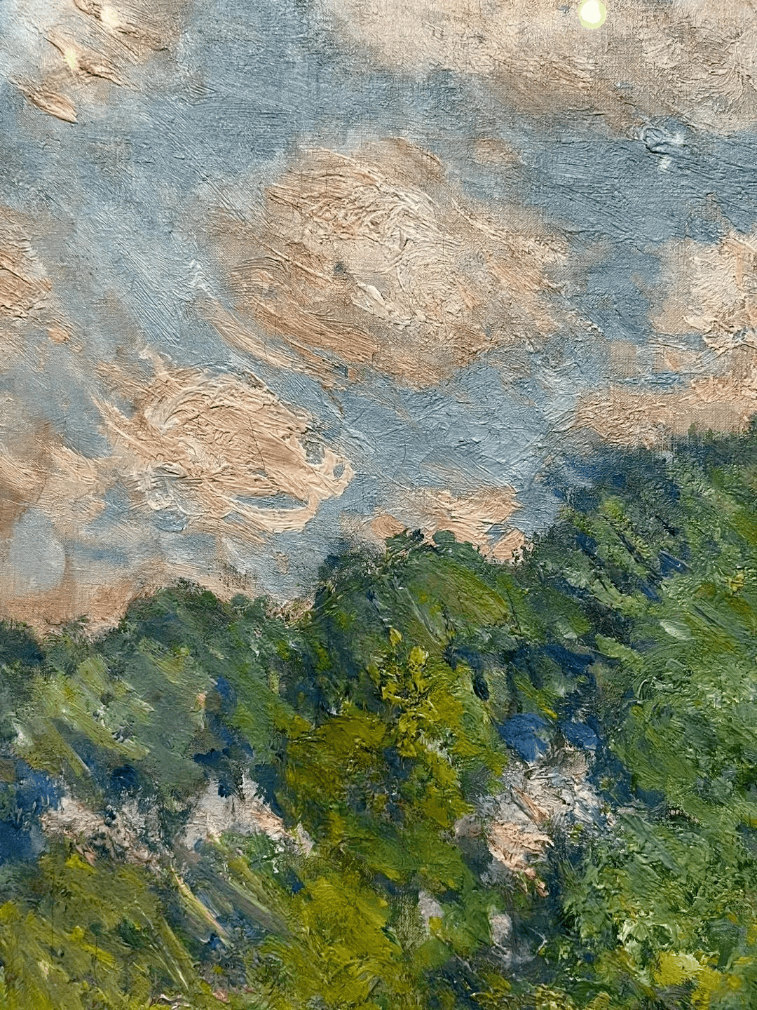 1hfz7D-20241120