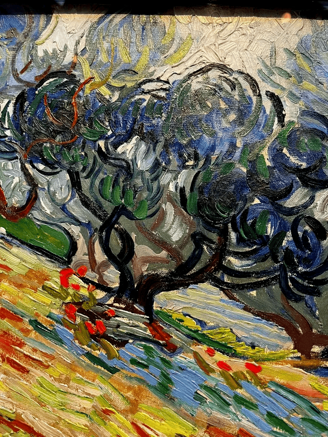 8lWbOE-20241120