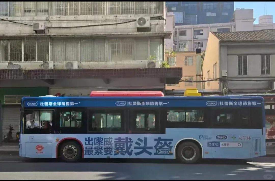lbAp95-20241115