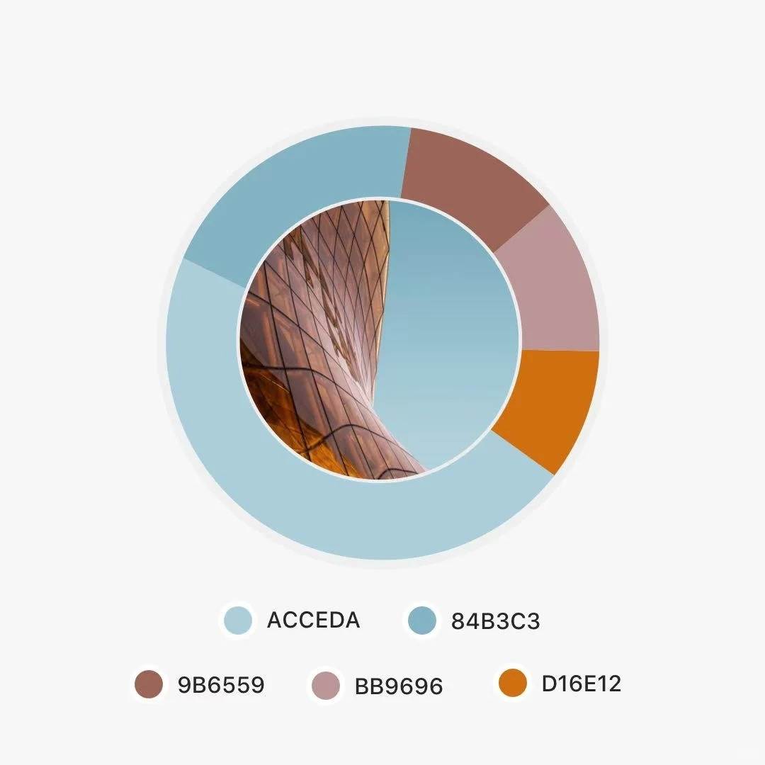 高级感配色?配色自取