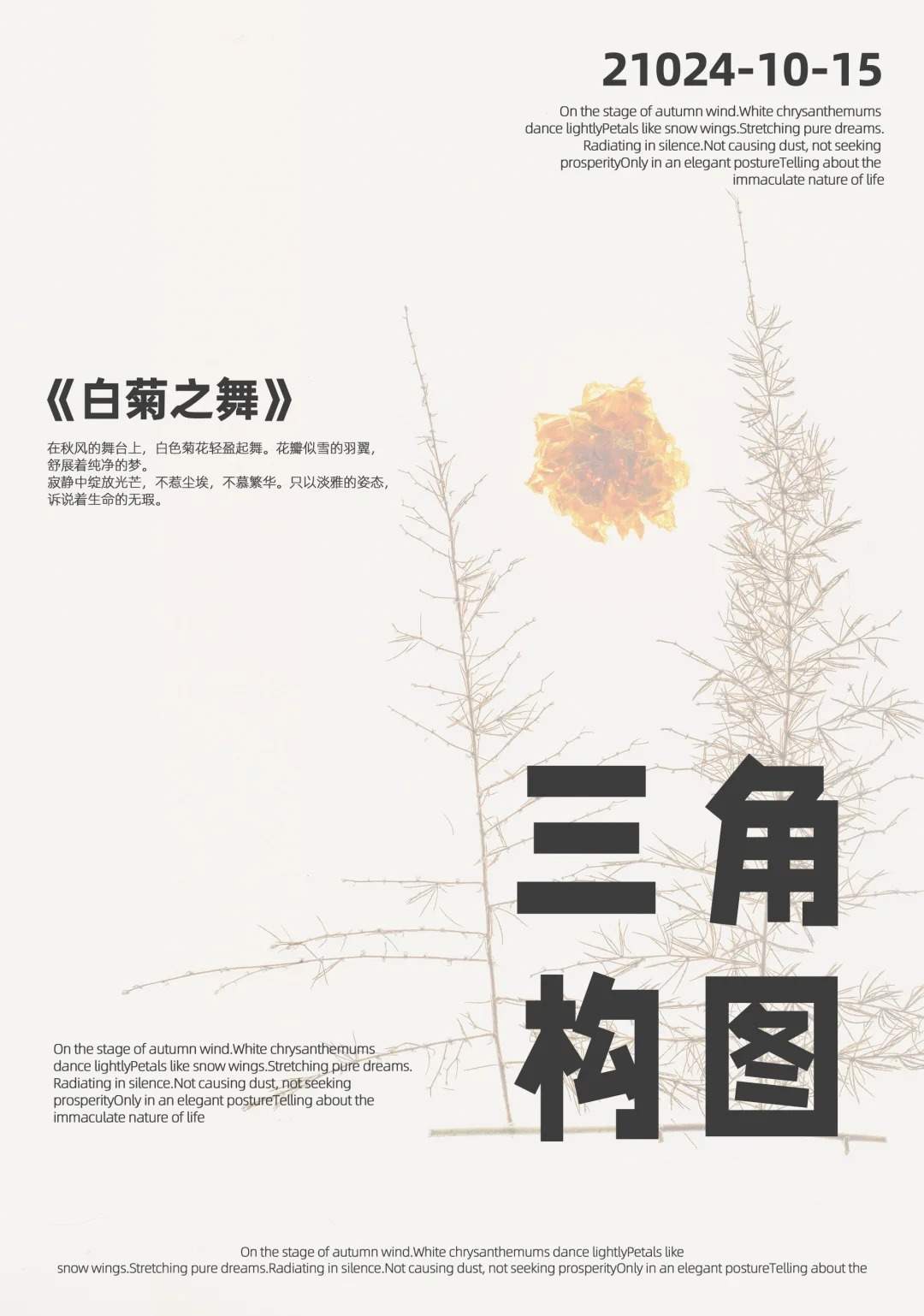 ?海报版式超惊艳?让你的设计瞬间高大上✨