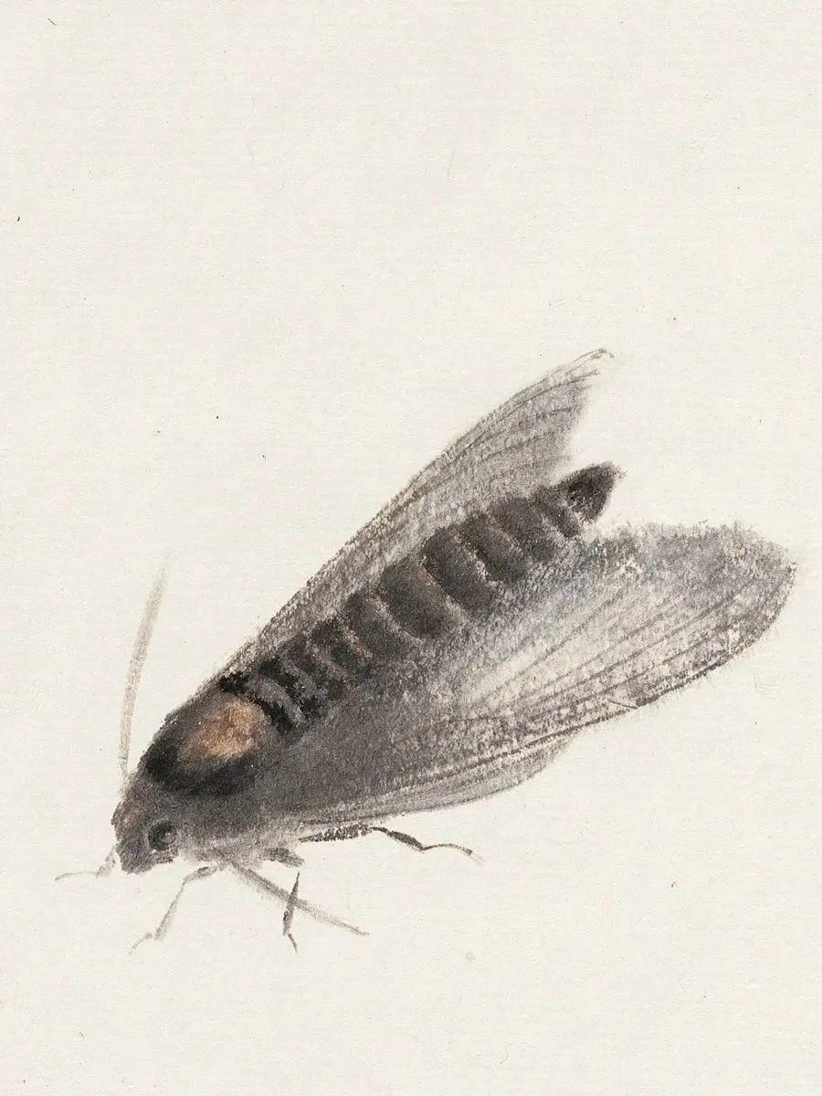 xwUXqc-20250525
