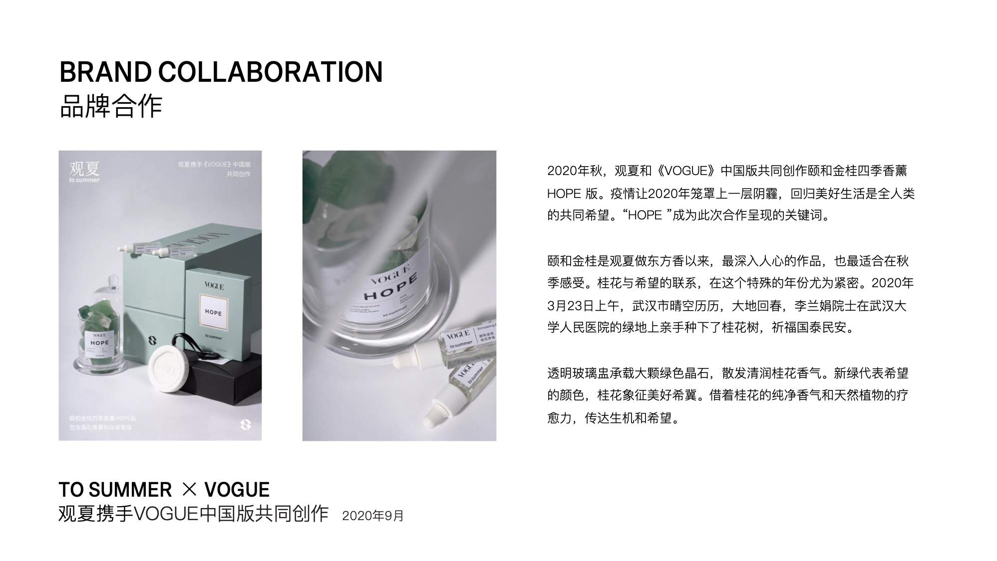 100 页观夏品牌手册.PDF