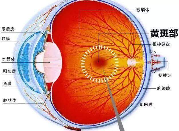 用色如用兵：色彩的故事