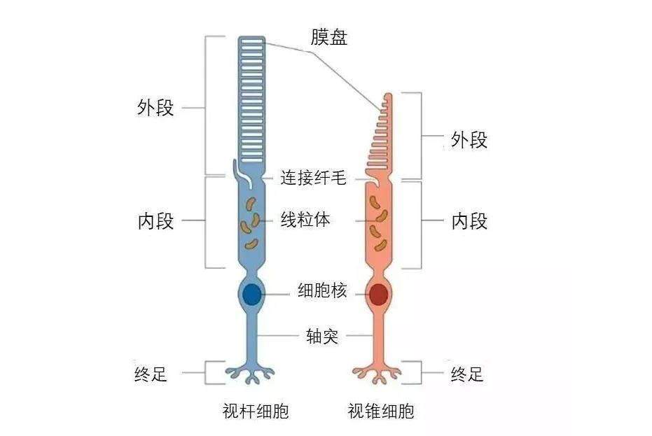 用色如用兵：色彩的故事