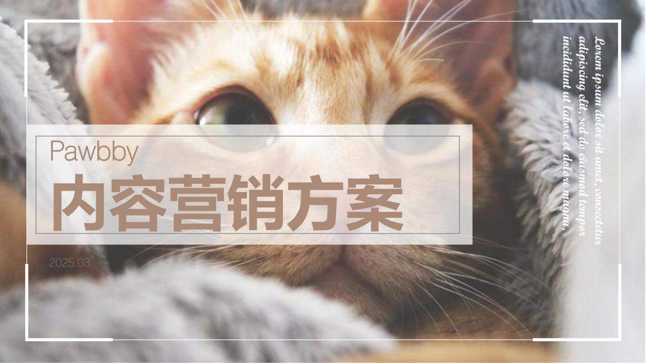 Pawbby猫粮内容营销全案方案猫砂.pdf