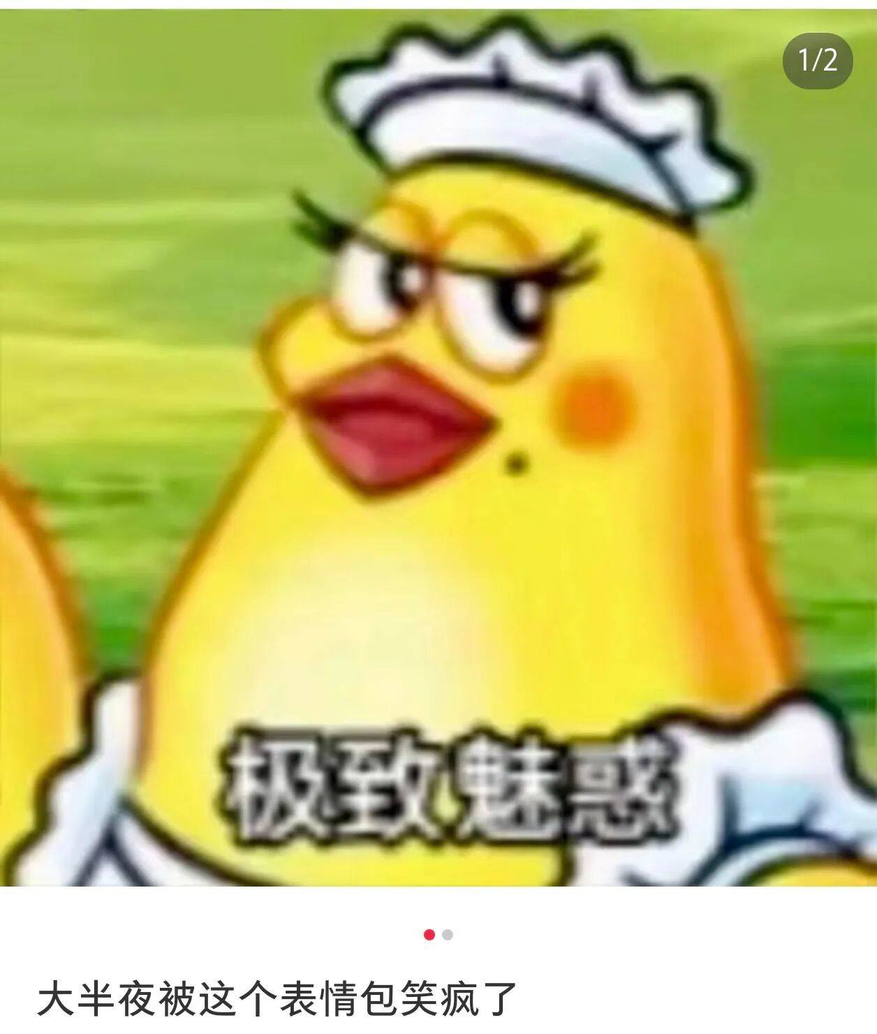 ed75a751c8b1112e18756654ad95994f.jpg