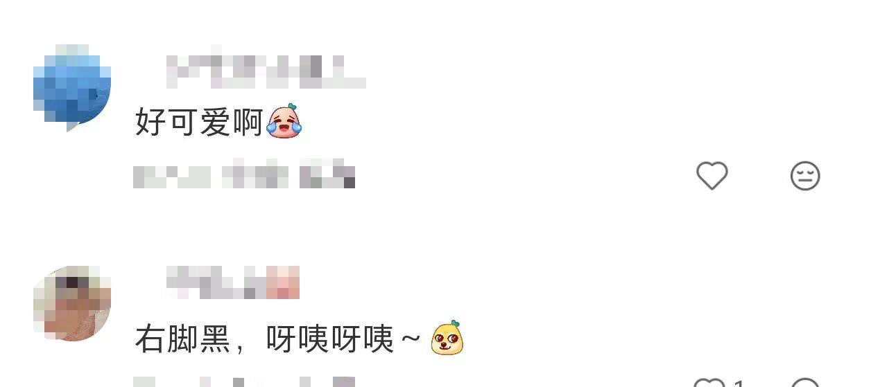 7b6b1978150b9ecdc089dafbaa935ada.jpg