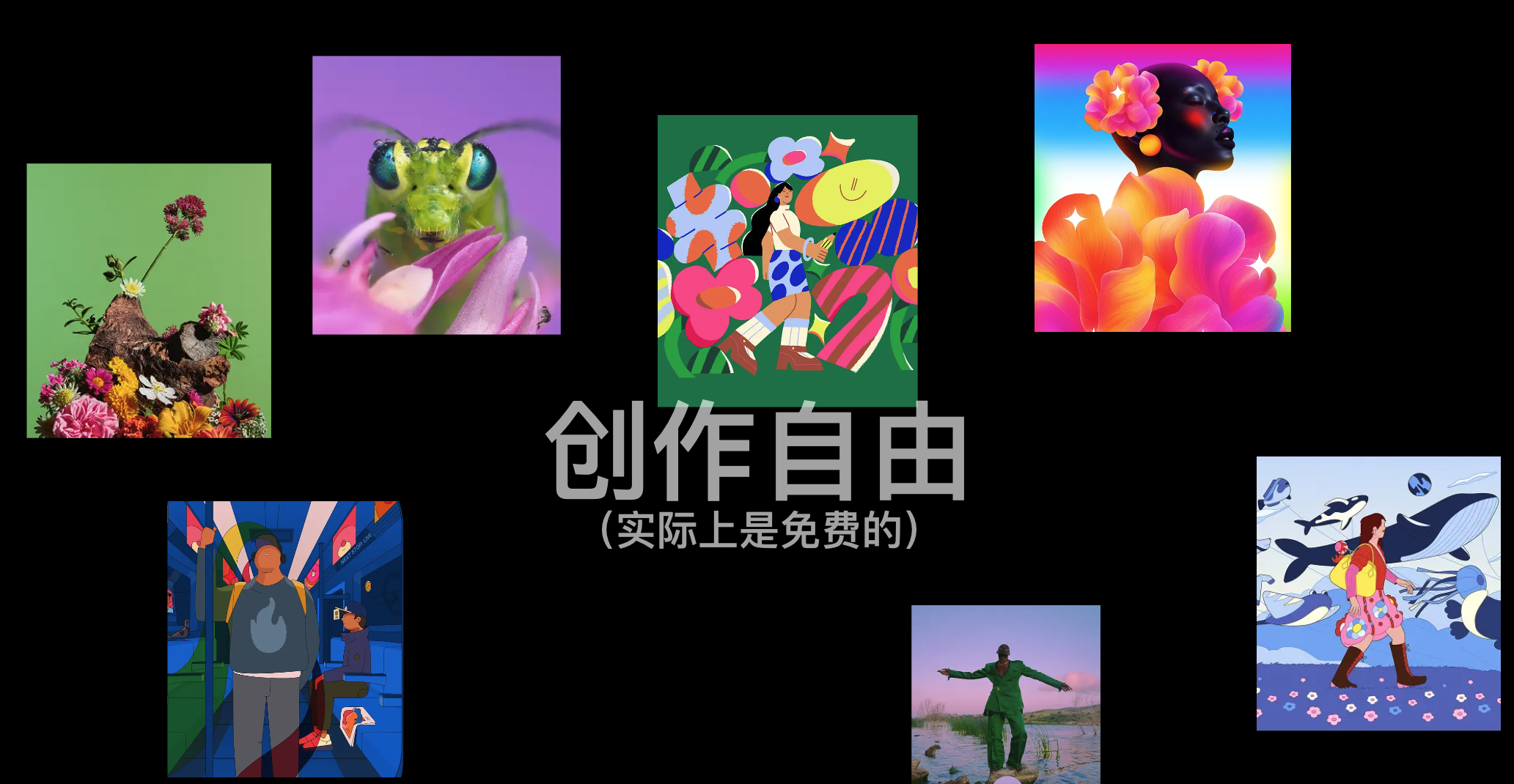 图片