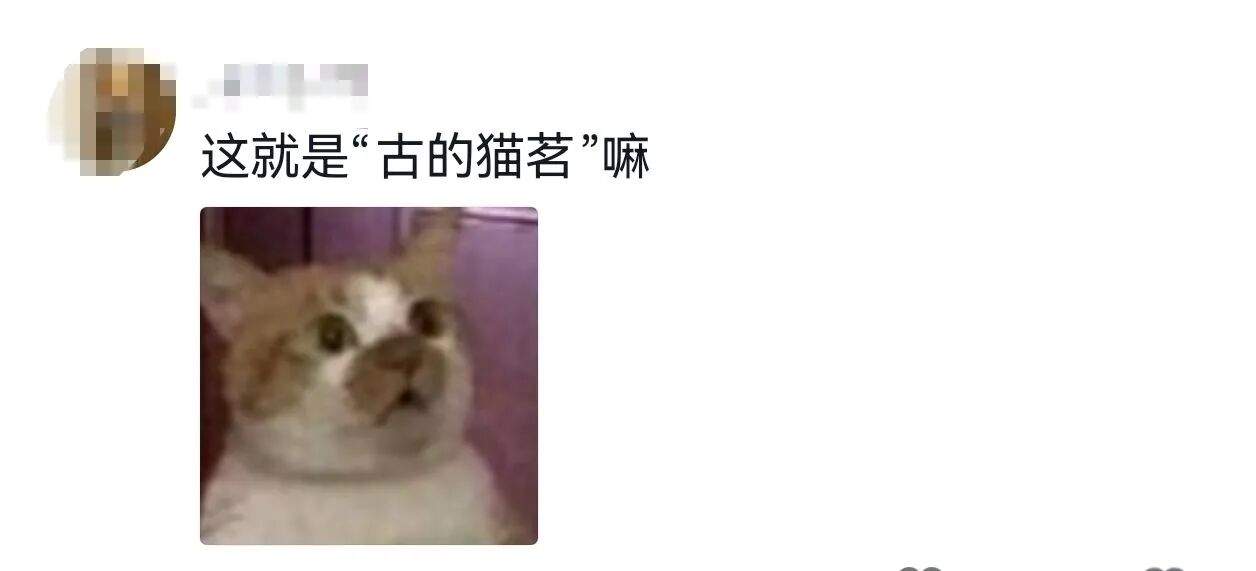 1e37ca2dd97df7a7698ba949fa569efe.jpg